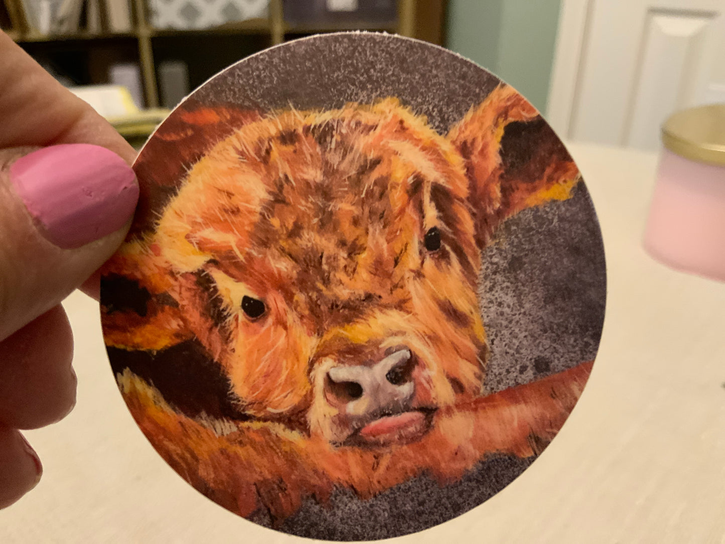Scottish coo
