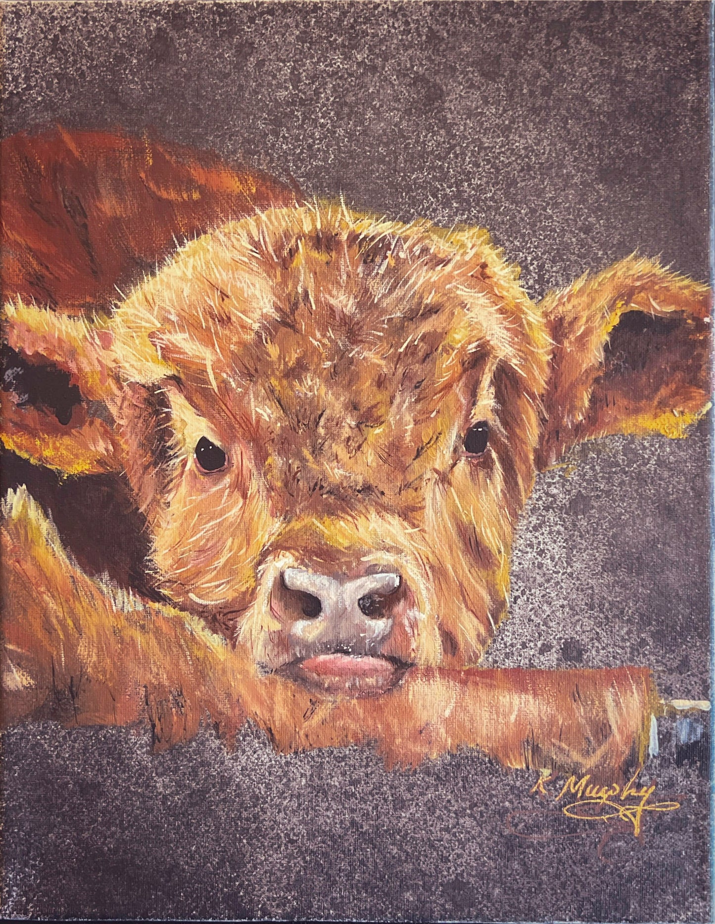 Scottish coo
