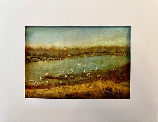 The Cranes are here!