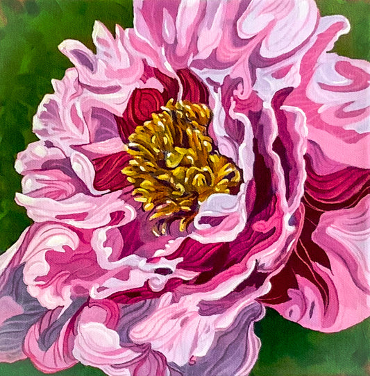 Pink Peony